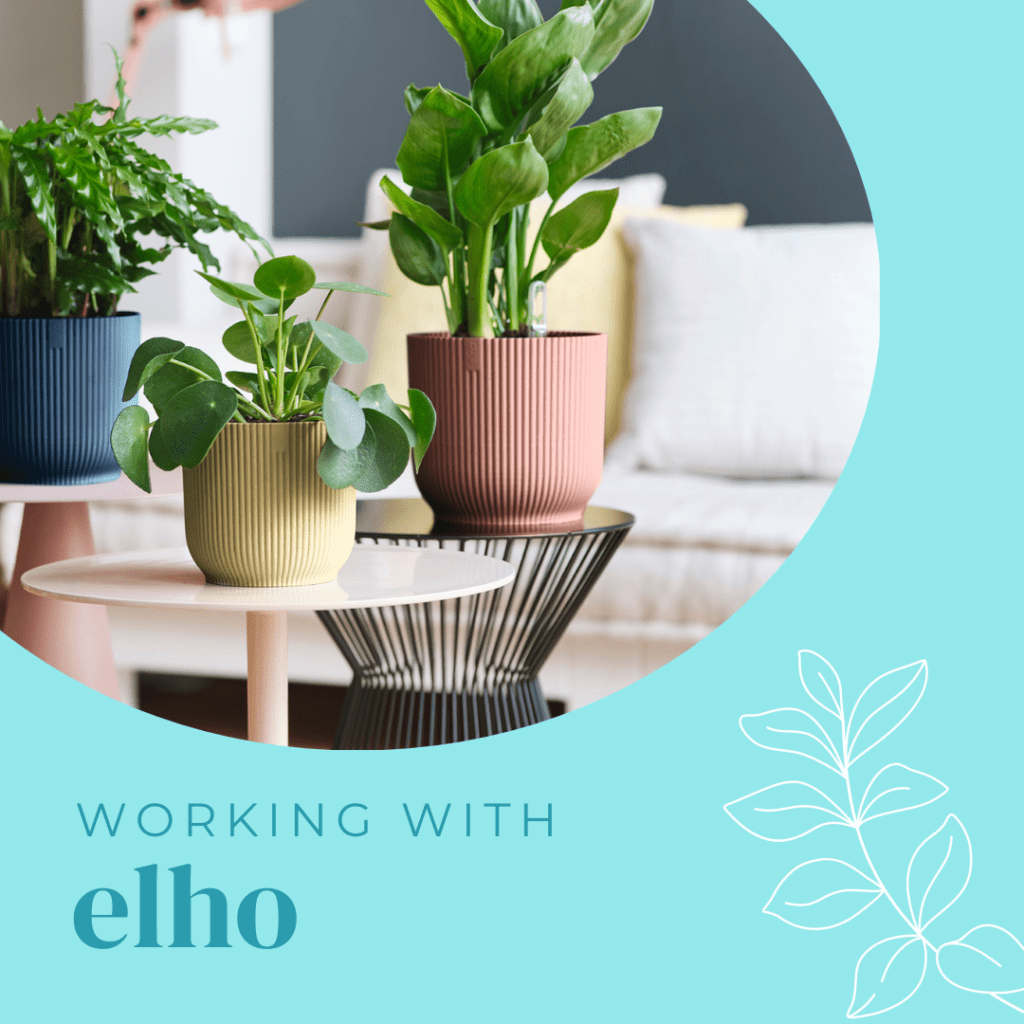 A graphic that reads "working with elho" with an image of colourful houseplants and pots on a coffee table.