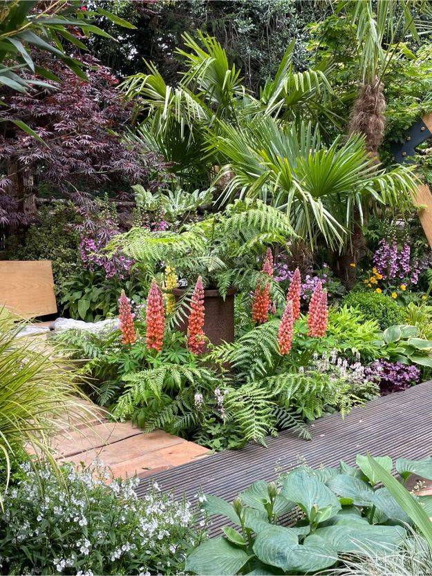 honest at chelsea flower show 2022 garden pr 6