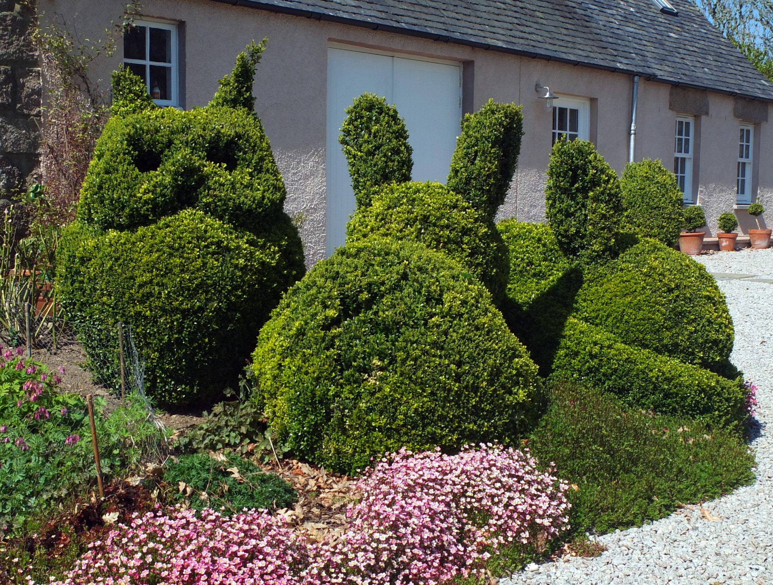 box topiary of two rabbits and an owl