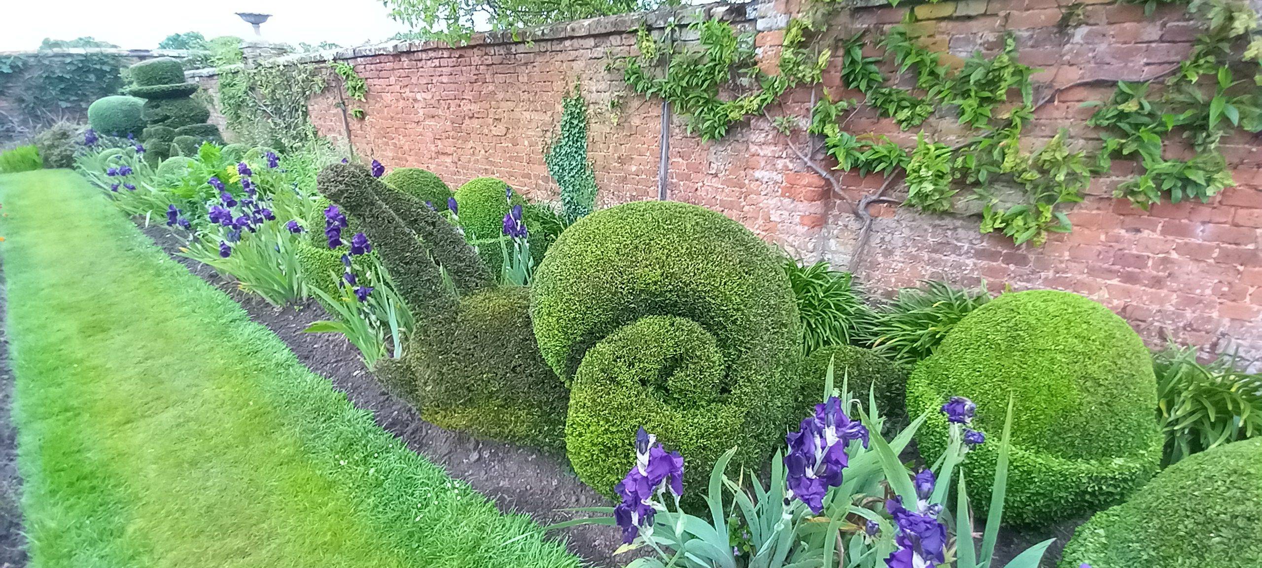 Topiary art of a snail