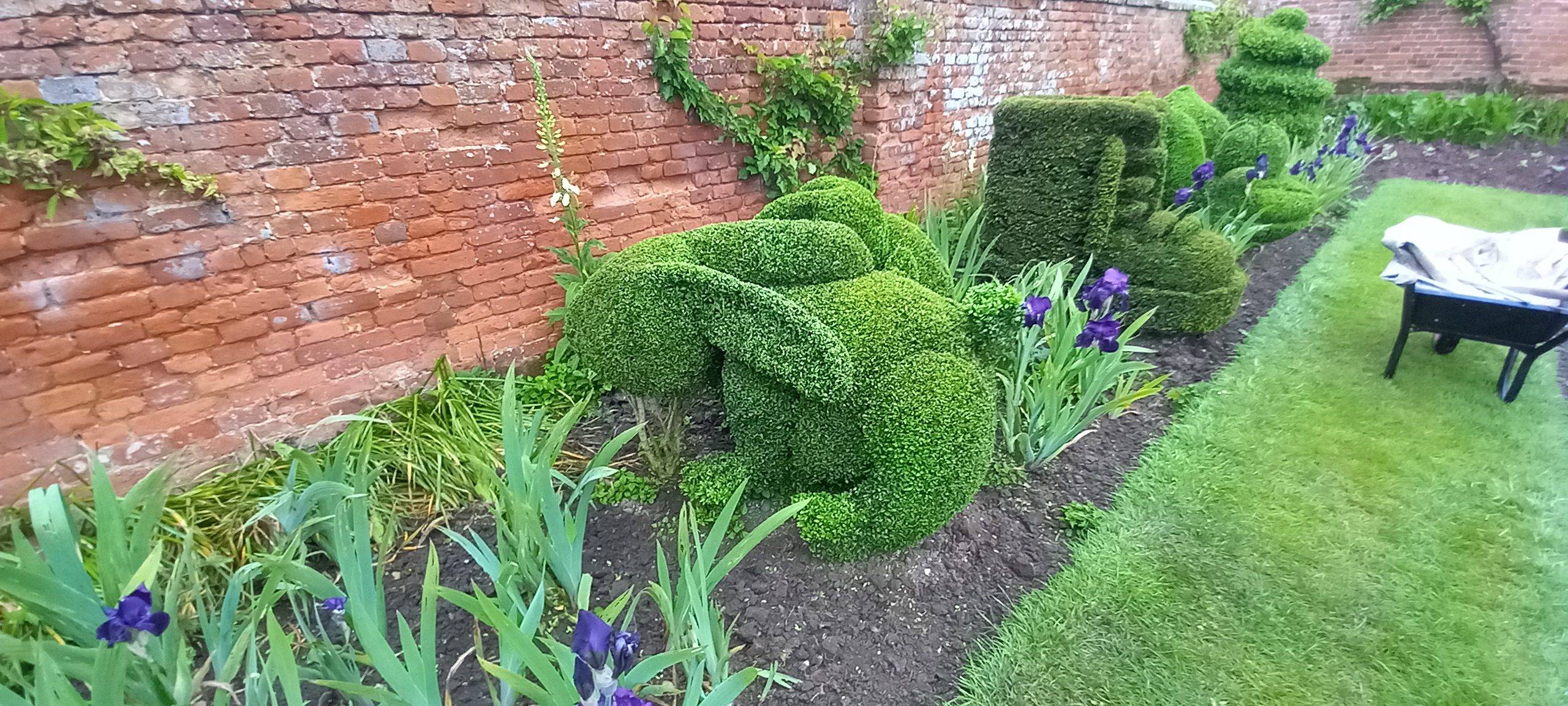 Topiary art of a rabbit