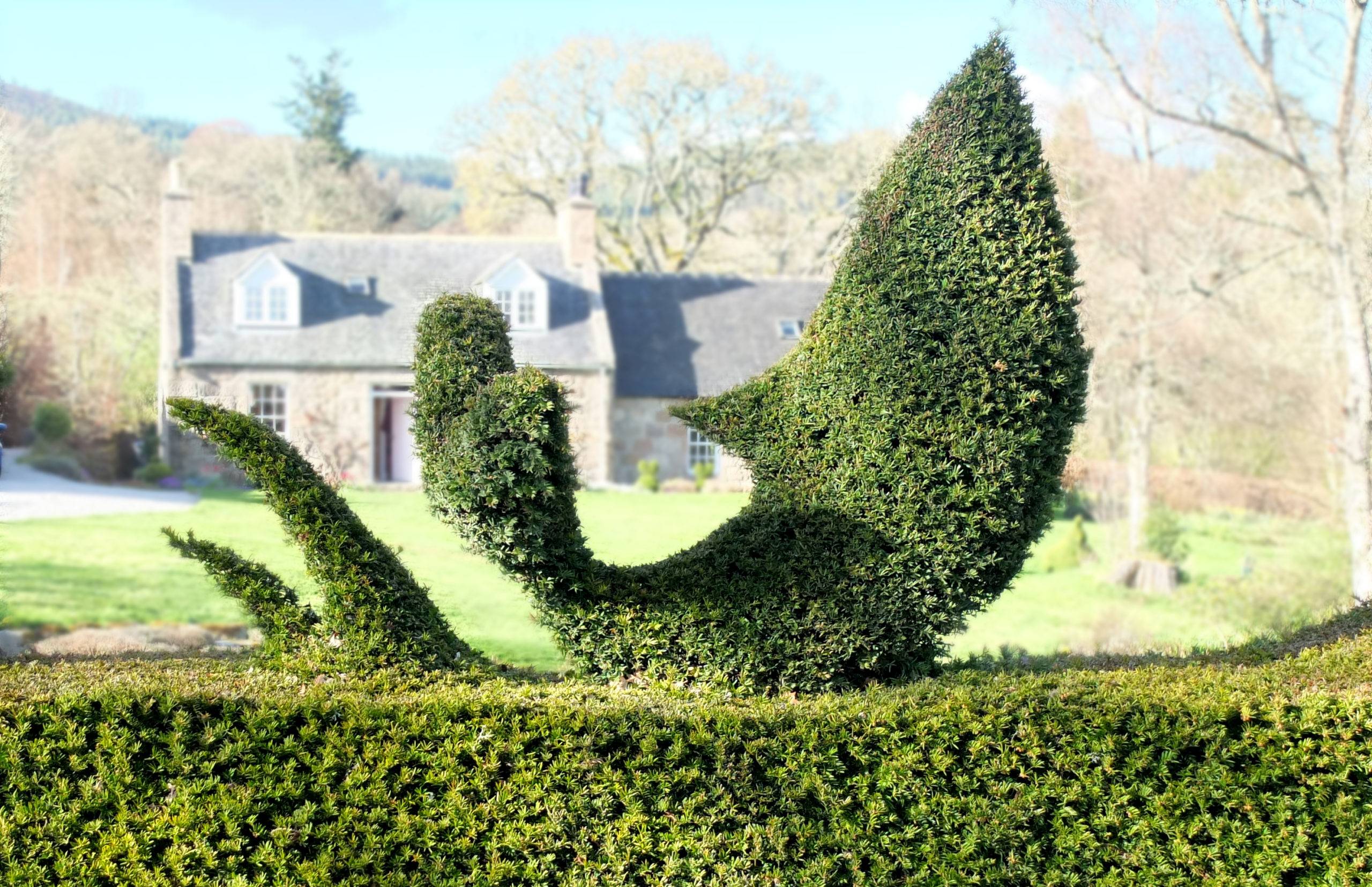 Topiary of a jumping fish