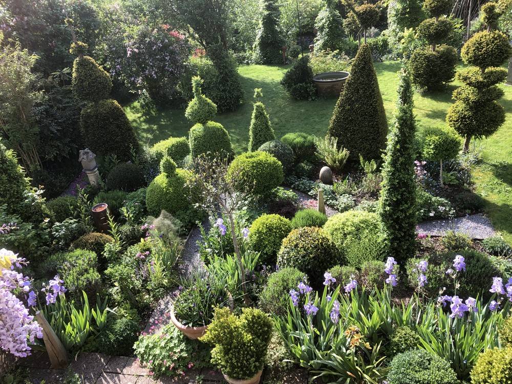 Traditional topiary