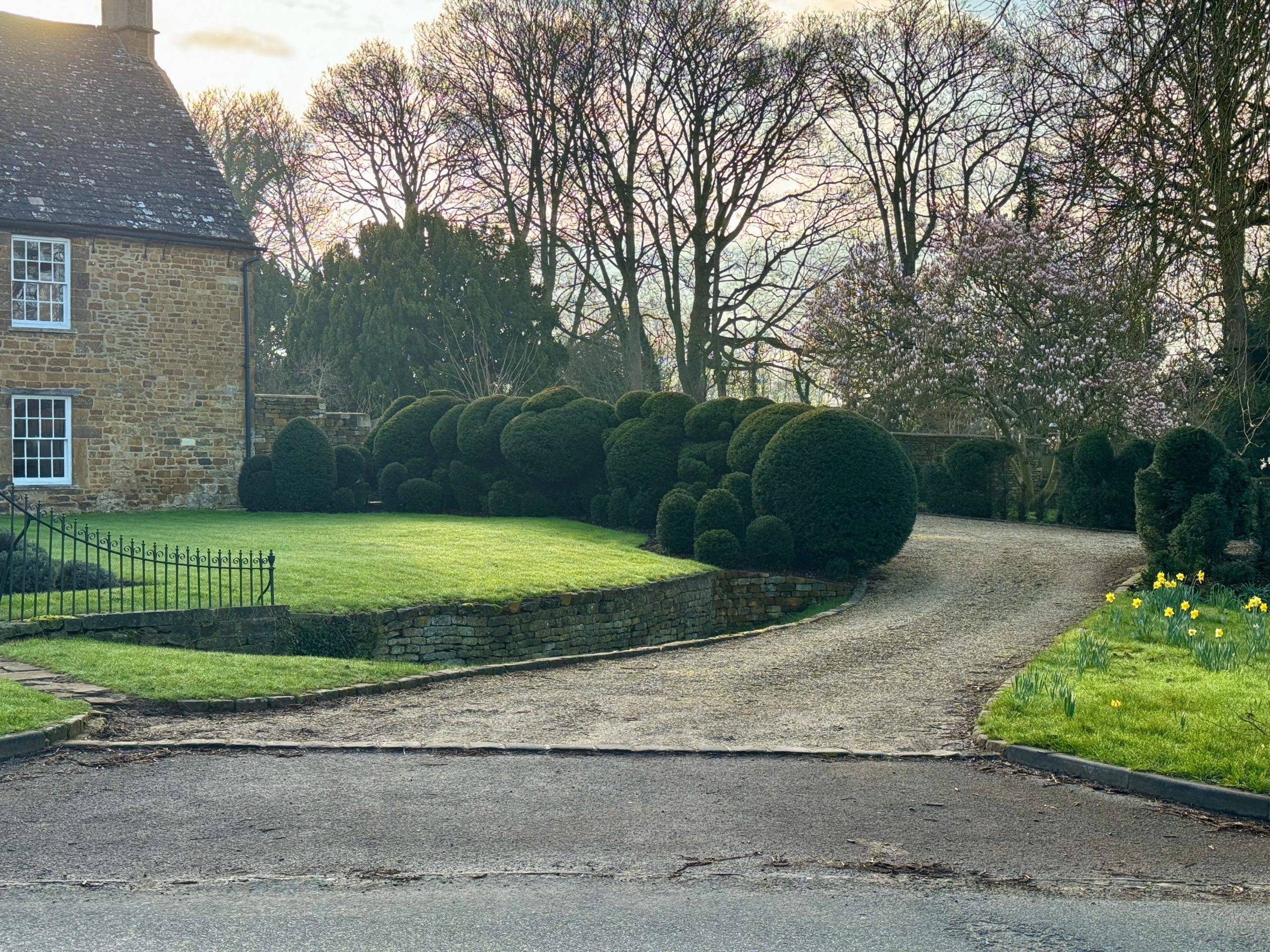 Topiary clouds