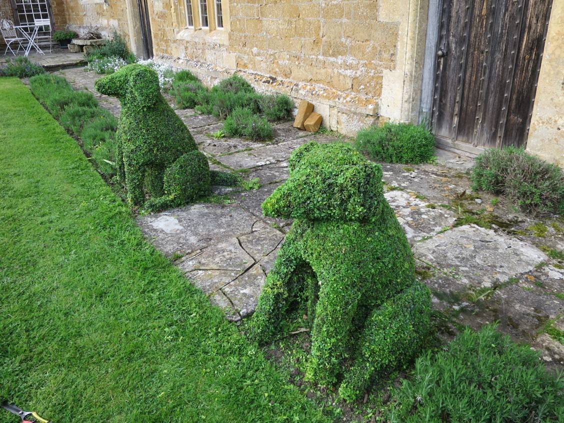 Two topiary dogs