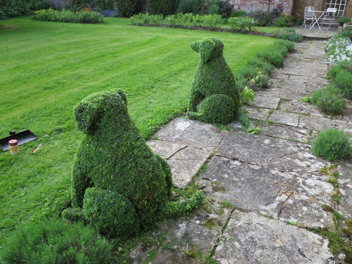 Two topiary dogs