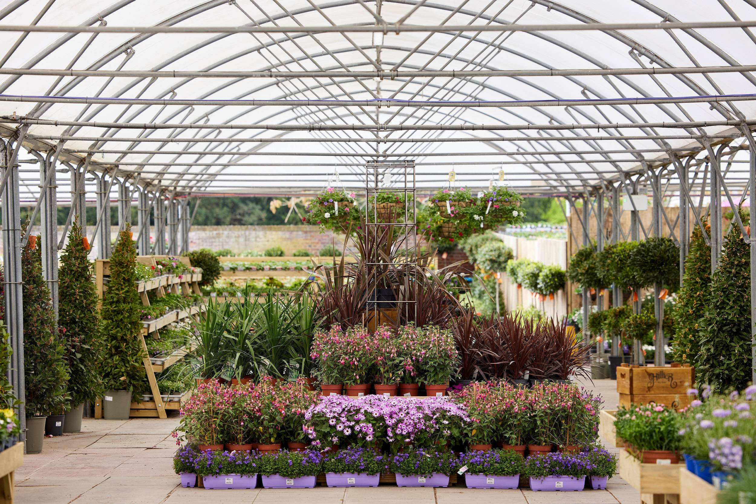 syon park garden centre brand image