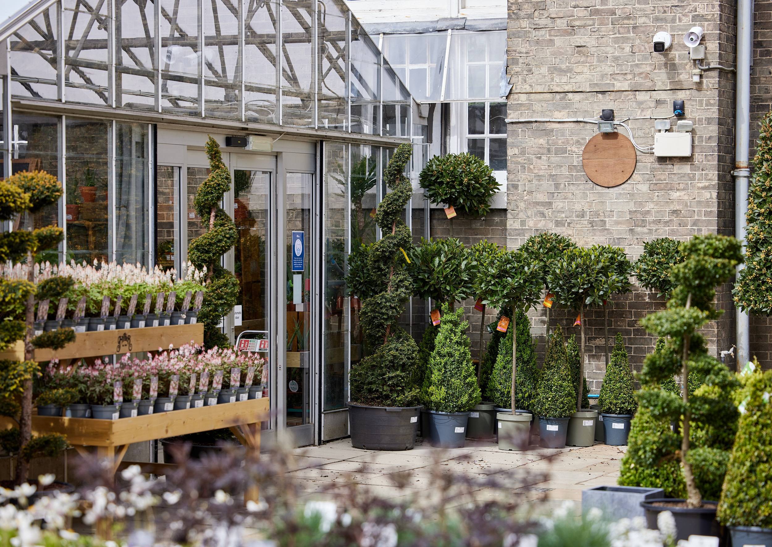 syon park garden centre brand image