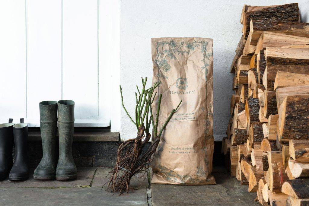 A photograph of a David Austin Roses bare root rose set next to wellington boots and logs